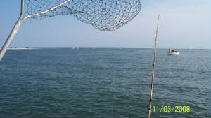 100_0083.jpg