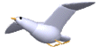bird-03.gif