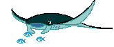 fish055.gif